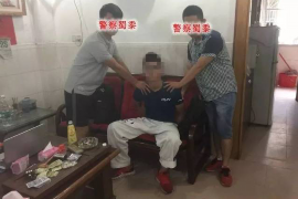 西山贷款清欠服务